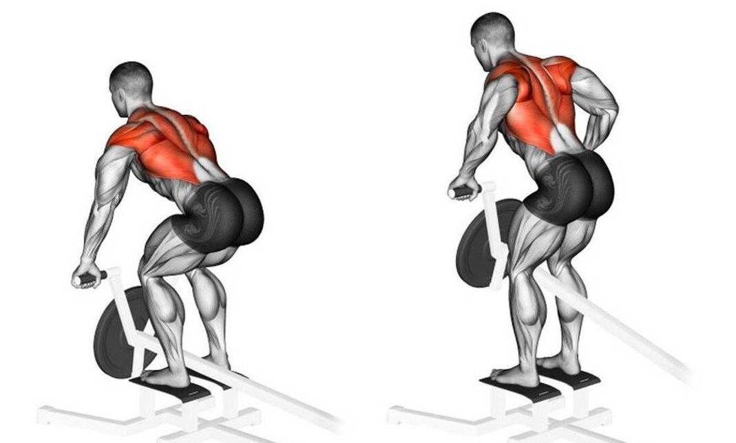 Exercise to strengthen your back muscles