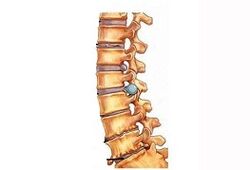 The stage of development of cervical bone