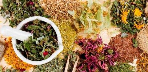Raw materials for preparing folk remedies to treat thoracic osteoarthritis