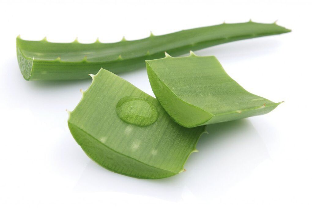 Aloe vera to treat breast osteonecrosis