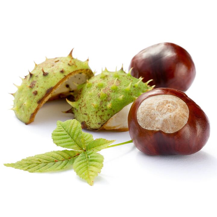 horse chestnut - ingredient composition HondroFrost